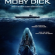 Illustration for article titled 2010 Moby Dick: the fail whale cometh